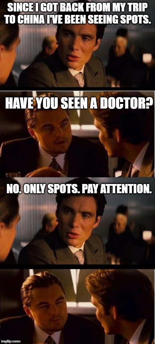 seasick inception | SINCE I GOT BACK FROM MY TRIP TO CHINA I'VE BEEN SEEING SPOTS. HAVE YOU SEEN A DOCTOR? NO. ONLY SPOTS. PAY ATTENTION. | image tagged in seasick inception | made w/ Imgflip meme maker