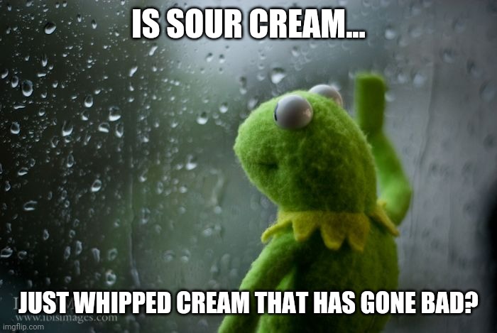 Ever wonder where creams come from? | IS SOUR CREAM... JUST WHIPPED CREAM THAT HAS GONE BAD? | image tagged in kermit window,creative | made w/ Imgflip meme maker