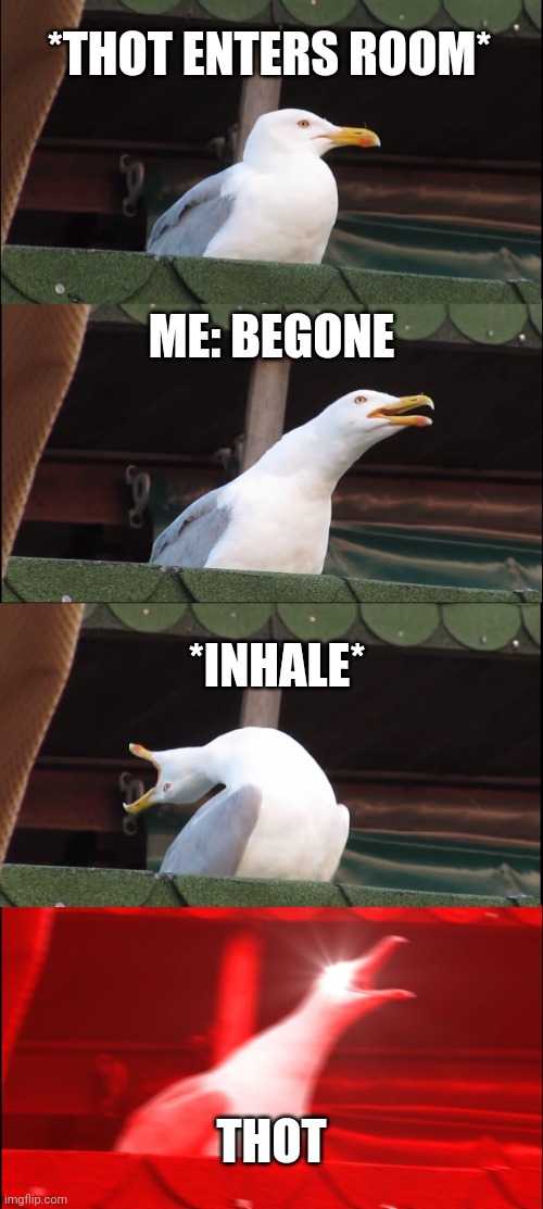 Inhaling Seagull | *THOT ENTERS ROOM*; ME: BEGONE; *INHALE*; THOT | image tagged in memes,inhaling seagull | made w/ Imgflip meme maker