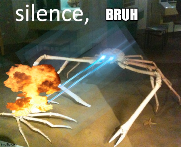 Silence Crab | BRUH | image tagged in silence crab | made w/ Imgflip meme maker