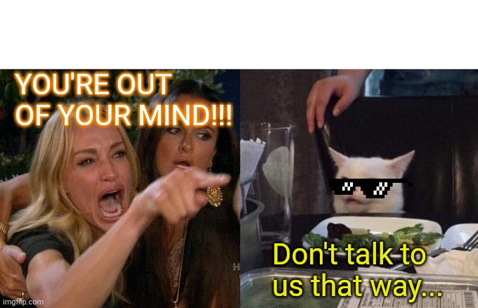 Woman Yelling At Cat | YOU'RE OUT OF YOUR MIND!!! Don't talk to us that way... | image tagged in memes,woman yelling at cat | made w/ Imgflip meme maker