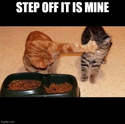 cats share food | STEP OFF IT IS MINE | image tagged in cats share food | made w/ Imgflip meme maker