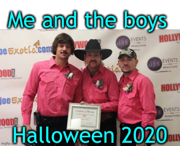 Straight or gay-I’m predicting this year’s most popular costume | Me and the boys; Halloween 2020 | image tagged in tiger king,halloween 2020 | made w/ Imgflip meme maker