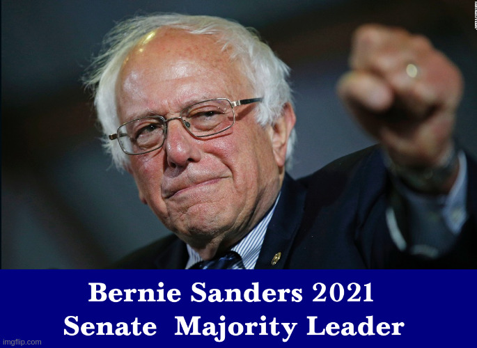Bernie Senate Majority Leader | image tagged in bernie sanders | made w/ Imgflip meme maker