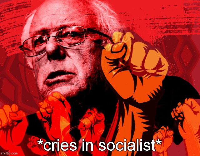 *cries in socialist* | made w/ Imgflip meme maker