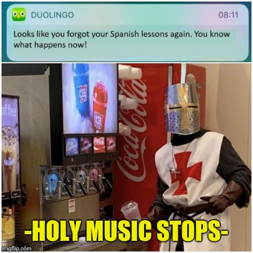 Holy Music Stops | -HOLY MUSIC STOPS- | image tagged in duolingo | made w/ Imgflip meme maker