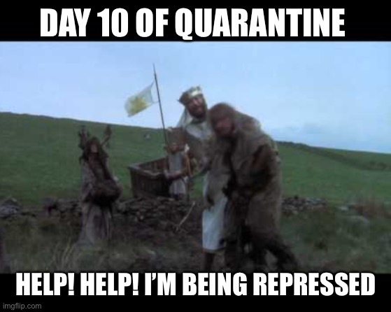Help help I’m being repressed | DAY 10 OF QUARANTINE; HELP! HELP! I’M BEING REPRESSED | image tagged in monty python,monty python and the holy grail | made w/ Imgflip meme maker