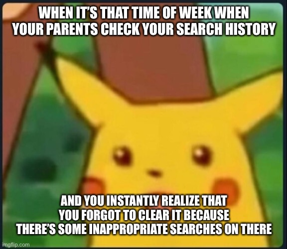 Surprised Pikachu | WHEN IT’S THAT TIME OF WEEK WHEN YOUR PARENTS CHECK YOUR SEARCH HISTORY; AND YOU INSTANTLY REALIZE THAT YOU FORGOT TO CLEAR IT BECAUSE THERE’S SOME INAPPROPRIATE SEARCHES ON THERE | image tagged in surprised pikachu | made w/ Imgflip meme maker