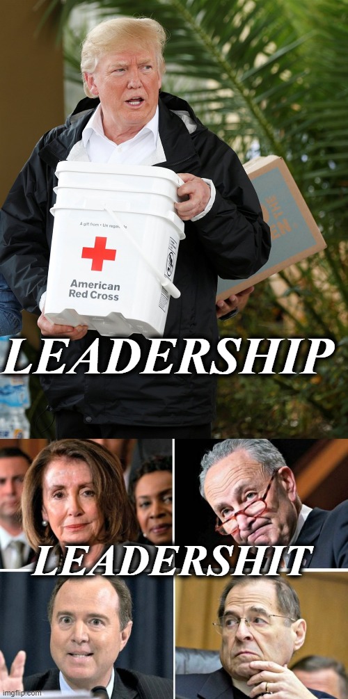 COVID-19 | LEADERSHIP; LEADERSHIT | image tagged in donald trump | made w/ Imgflip meme maker