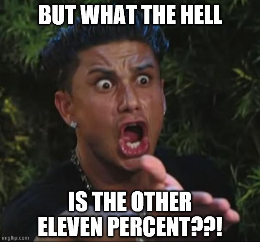 DJ Pauly D Meme | BUT WHAT THE HELL IS THE OTHER ELEVEN PERCENT??! | image tagged in memes,dj pauly d | made w/ Imgflip meme maker
