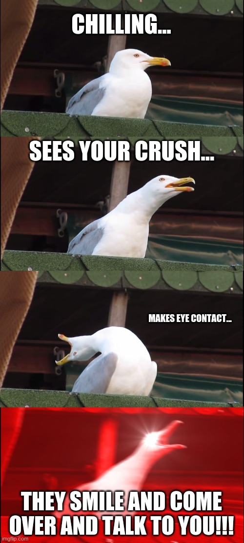 Inhaling Seagull Meme | CHILLING... SEES YOUR CRUSH... MAKES EYE CONTACT... THEY SMILE AND COME OVER AND TALK TO YOU!!! | image tagged in memes,inhaling seagull | made w/ Imgflip meme maker