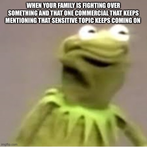 Kermit The Frog Cringing  | WHEN YOUR FAMILY IS FIGHTING OVER SOMETHING AND THAT ONE COMMERCIAL THAT KEEPS MENTIONING THAT SENSITIVE TOPIC KEEPS COMING ON | image tagged in kermit the frog cringing | made w/ Imgflip meme maker