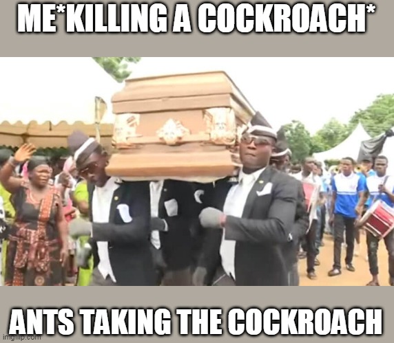 cockroach coffin | ME*KILLING A COCKROACH*; ANTS TAKING THE COCKROACH | image tagged in coffin dance | made w/ Imgflip meme maker