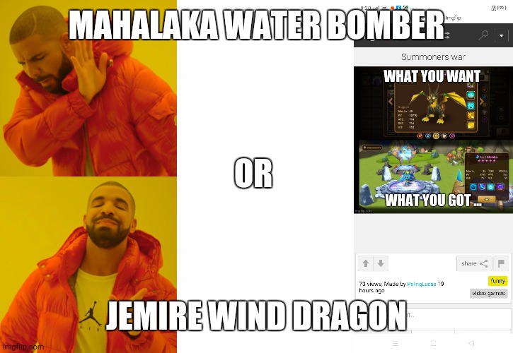 MAHALAKA WATER BOMBER; OR; JEMIRE WIND DRAGON | image tagged in memes,drake hotline bling | made w/ Imgflip meme maker