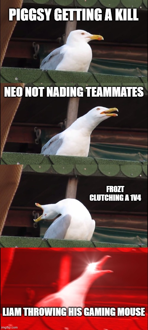 Inhaling Seagull Meme | PIGGSY GETTING A KILL; NEO NOT NADING TEAMMATES; FR0ZT CLUTCHING A 1V4; LIAM THROWING HIS GAMING MOUSE | image tagged in memes,inhaling seagull | made w/ Imgflip meme maker
