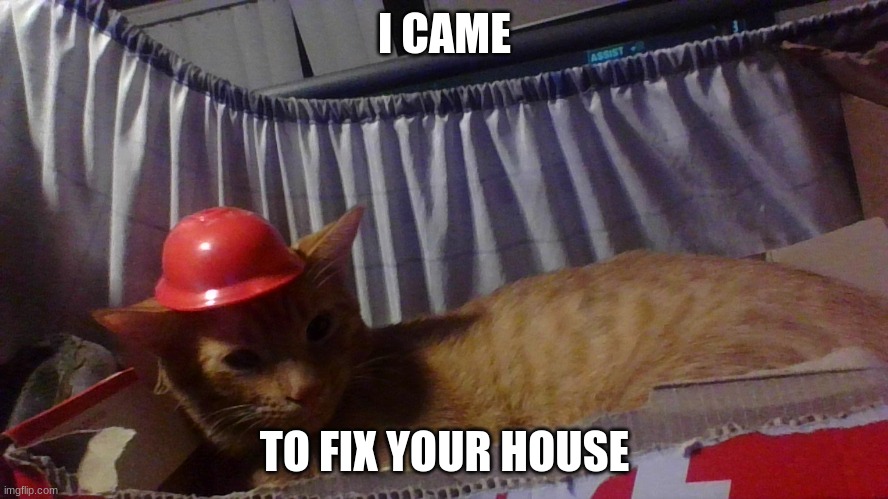 Builder cat | I CAME; TO FIX YOUR HOUSE | image tagged in cat | made w/ Imgflip meme maker