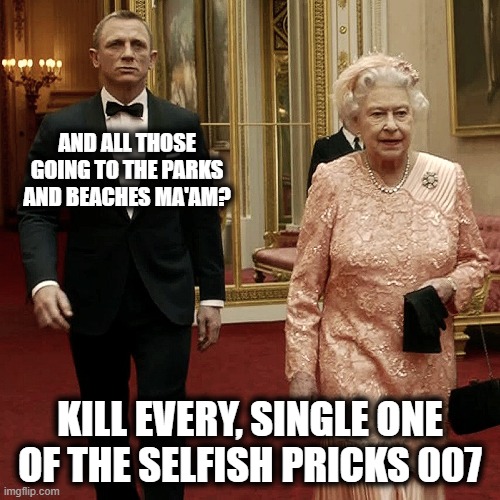 Parks and Beaches |  AND ALL THOSE GOING TO THE PARKS AND BEACHES MA'AM? KILL EVERY, SINGLE ONE OF THE SELFISH PRICKS 007 | image tagged in queen elizabeth  james bond 007,coronavirus,corona virus,funny,funny memes | made w/ Imgflip meme maker