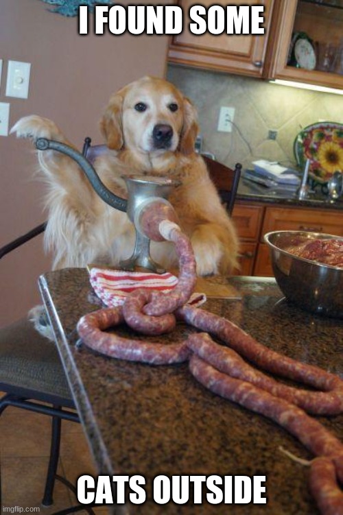 dog sausages | I FOUND SOME; CATS OUTSIDE | image tagged in dog sausages | made w/ Imgflip meme maker