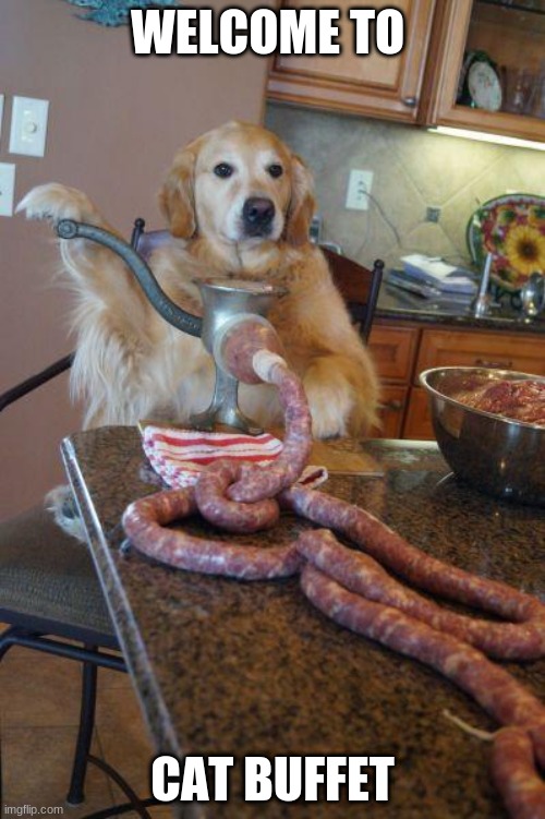 dog sausages | WELCOME TO; CAT BUFFET | image tagged in dog sausages | made w/ Imgflip meme maker
