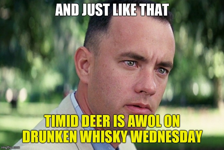 And Just Like That | AND JUST LIKE THAT; TIMID DEER IS AWOL ON DRUNKEN WHISKY WEDNESDAY | image tagged in memes,and just like that,timiddeer | made w/ Imgflip meme maker