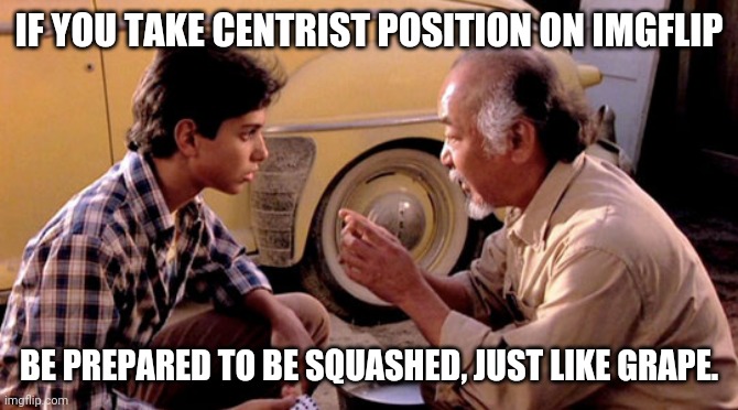 Mr Miyagi Version Control | IF YOU TAKE CENTRIST POSITION ON IMGFLIP BE PREPARED TO BE SQUASHED, JUST LIKE GRAPE. | image tagged in mr miyagi version control | made w/ Imgflip meme maker