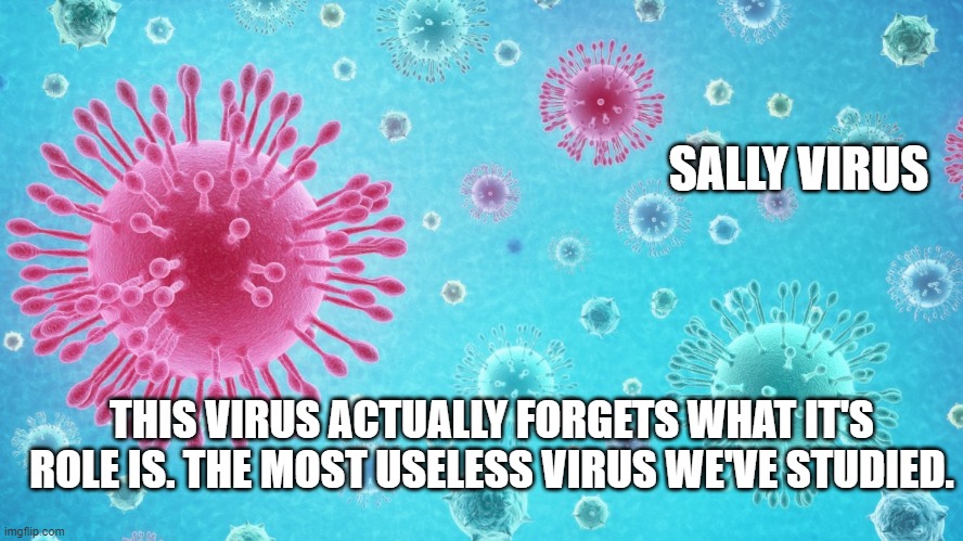 SALLY VIRUS; THIS VIRUS ACTUALLY FORGETS WHAT IT'S ROLE IS. THE MOST USELESS VIRUS WE'VE STUDIED. | made w/ Imgflip meme maker