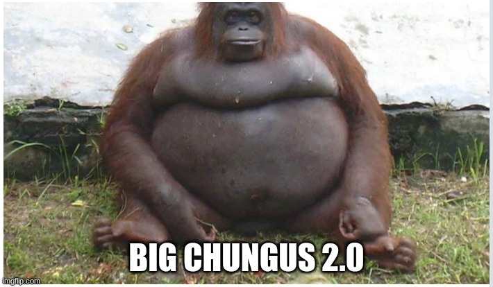 BIG CHUNGUS 2.0 | BIG CHUNGUS 2.0 | image tagged in memes | made w/ Imgflip meme maker