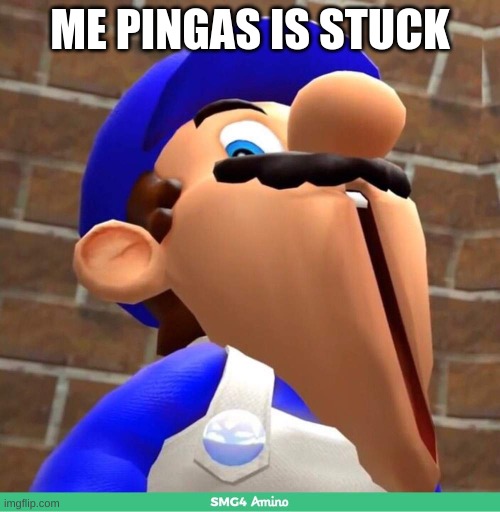 smg4's face | ME PINGAS IS STUCK | image tagged in smg4's face | made w/ Imgflip meme maker