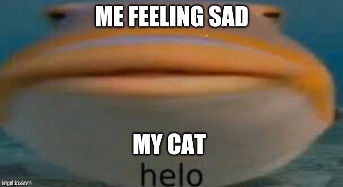 helo fish | ME FEELING SAD; MY CAT | image tagged in helo fish | made w/ Imgflip meme maker