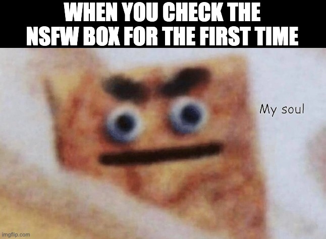When you check the NSFW box for the first time | WHEN YOU CHECK THE NSFW BOX FOR THE FIRST TIME | image tagged in destruction,crackers | made w/ Imgflip meme maker