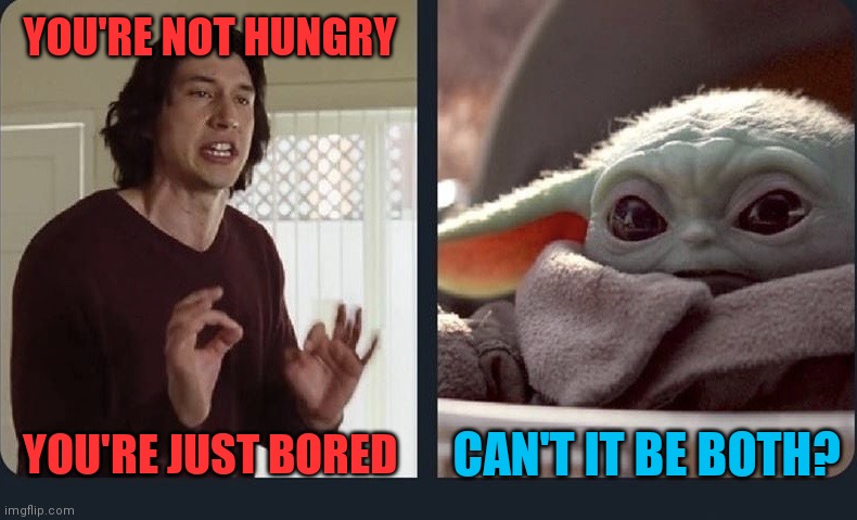 Kylo Ren Baby Yoda | YOU'RE NOT HUNGRY; YOU'RE JUST BORED; CAN'T IT BE BOTH? | image tagged in kylo ren baby yoda | made w/ Imgflip meme maker