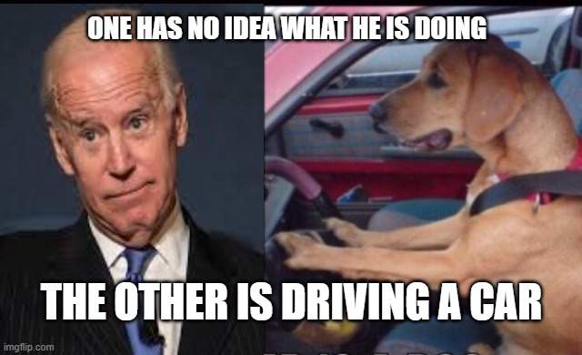 where am I? Go Left ! | ONE HAS NO IDEA WHAT HE IS DOING; THE OTHER IS DRIVING A CAR | image tagged in joe biden,where am i,ConservativeMemes | made w/ Imgflip meme maker