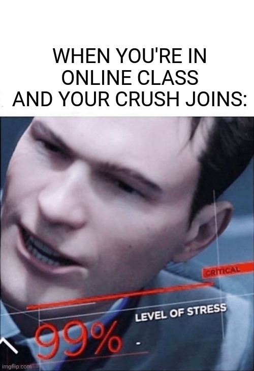 99% Level of Stress | WHEN YOU'RE IN ONLINE CLASS AND YOUR CRUSH JOINS: | image tagged in 99 level of stress | made w/ Imgflip meme maker