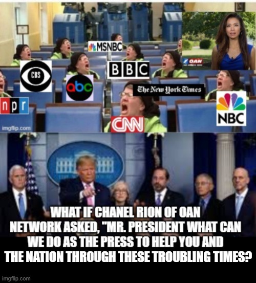 What if the Media Ask "Mr.  President What Can We Do As The Press To Help You And The Nation? | THE NATION THROUGH THESE TROUBLING TIMES? | image tagged in fake news,stupid liberals,trump | made w/ Imgflip meme maker