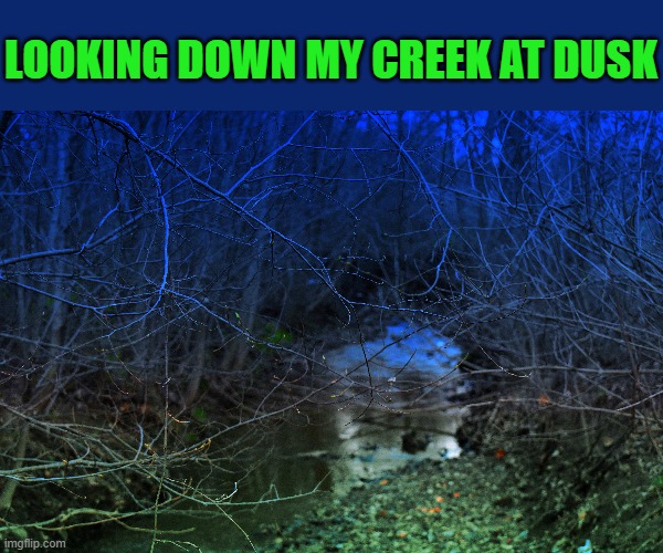 LOOKING DOWN MY CREEK AT DUSK | made w/ Imgflip meme maker