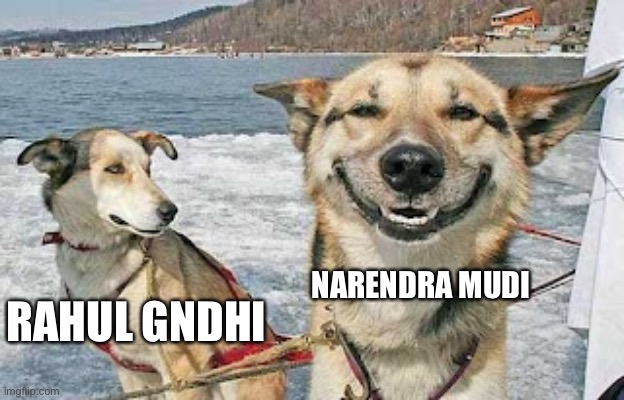 Original Stoner Dog | NARENDRA MUDI; RAHUL GNDHI | image tagged in memes,original stoner dog | made w/ Imgflip meme maker