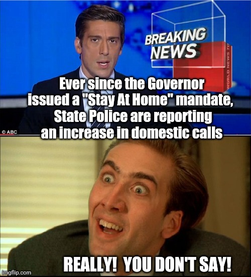 I actually saw that in the news this morning! LIKE, DUH! smh | Ever since the Governor issued a "Stay At Home" mandate, 
 State Police are reporting an increase in domestic calls; REALLY!  YOU DON'T SAY! | image tagged in you don't say - nicholas cage,newscast | made w/ Imgflip meme maker