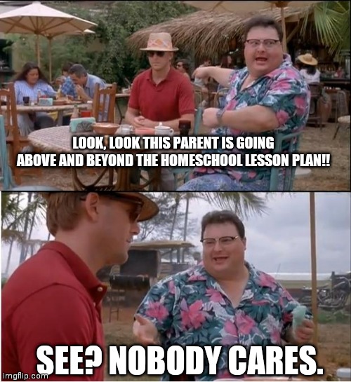 See Nobody Cares Meme | LOOK, LOOK THIS PARENT IS GOING ABOVE AND BEYOND THE HOMESCHOOL LESSON PLAN!! SEE? NOBODY CARES. | image tagged in memes,see nobody cares | made w/ Imgflip meme maker