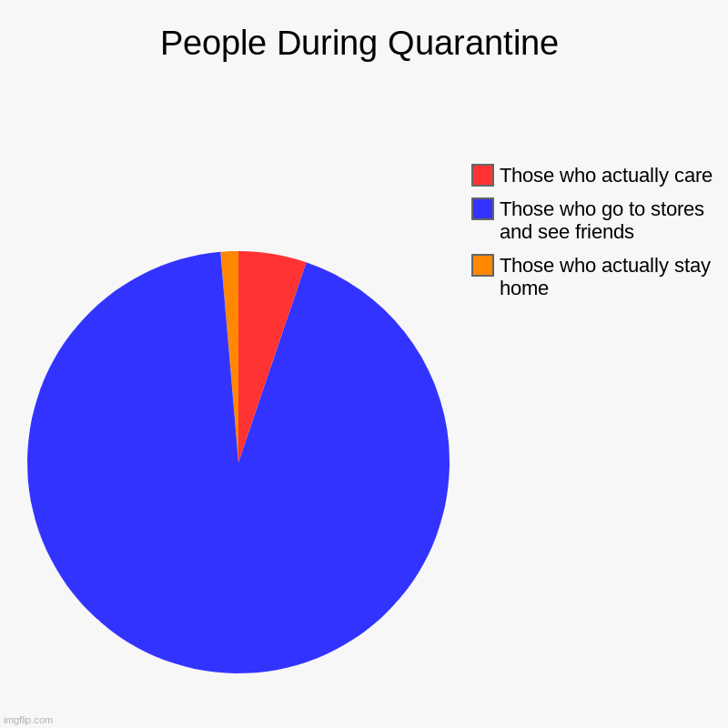 People During Quarantine | Those who actually stay home, Those who go to stores and see friends, Those who actually care | image tagged in charts,pie charts | made w/ Imgflip chart maker