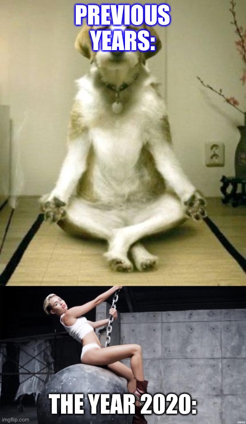 PREVIOUS YEARS:; THE YEAR 2020: | image tagged in miley cyrus wreckingball,inner peace dog | made w/ Imgflip meme maker
