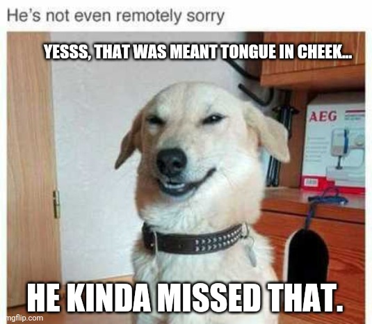 YESSS, THAT WAS MEANT TONGUE IN CHEEK... HE KINDA MISSED THAT. | made w/ Imgflip meme maker