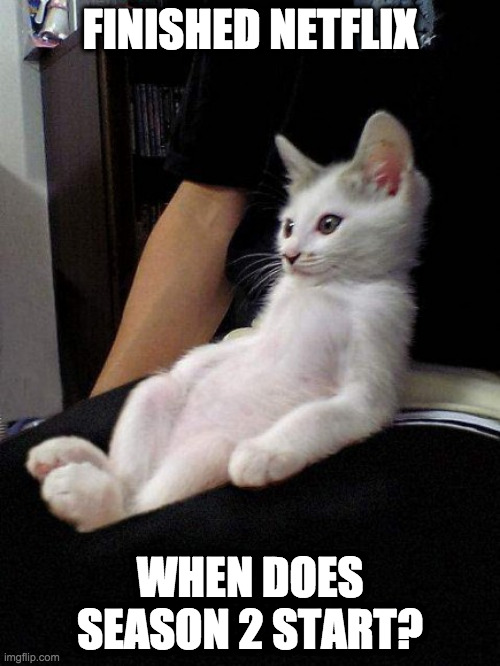 cat watching tv | FINISHED NETFLIX; WHEN DOES SEASON 2 START? | image tagged in cat watching tv | made w/ Imgflip meme maker