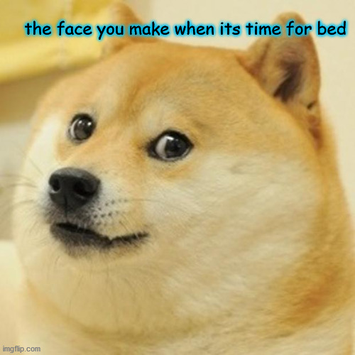 Doge | the face you make when its time for bed | image tagged in memes,doge | made w/ Imgflip meme maker