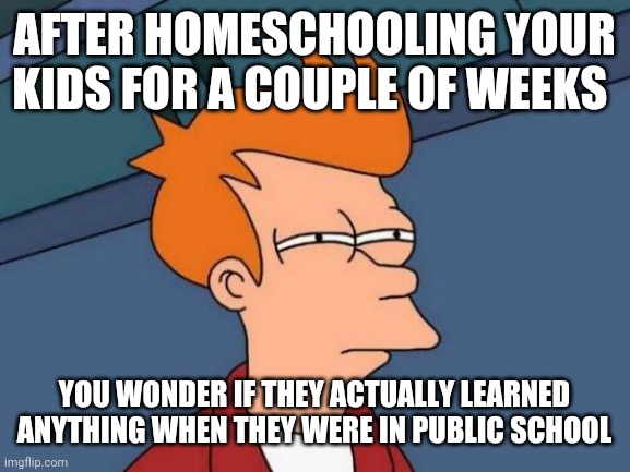 Futurama Fry | AFTER HOMESCHOOLING YOUR KIDS FOR A COUPLE OF WEEKS; YOU WONDER IF THEY ACTUALLY LEARNED ANYTHING WHEN THEY WERE IN PUBLIC SCHOOL | image tagged in memes,futurama fry | made w/ Imgflip meme maker