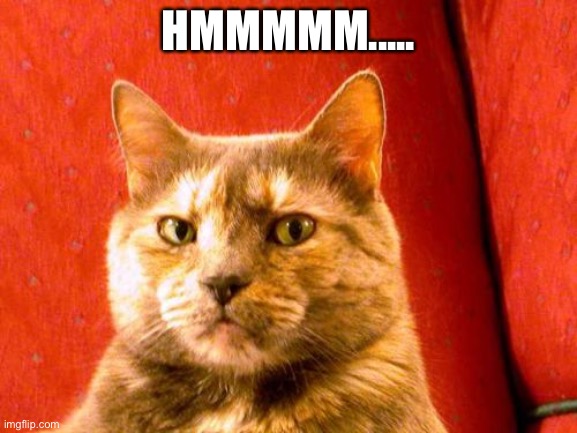 Suspicious Cat Meme | HMMMMM..... | image tagged in memes,suspicious cat | made w/ Imgflip meme maker