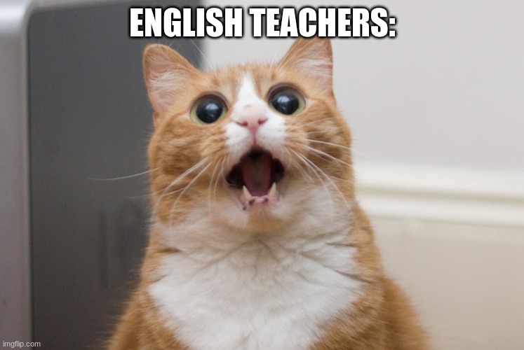 Amazed cat | ENGLISH TEACHERS: | image tagged in amazed cat | made w/ Imgflip meme maker