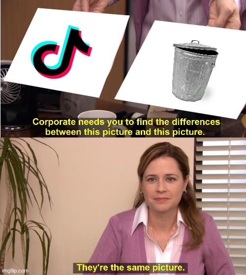 They're The Same Picture | image tagged in memes,they're the same picture,tik tok,trash | made w/ Imgflip meme maker