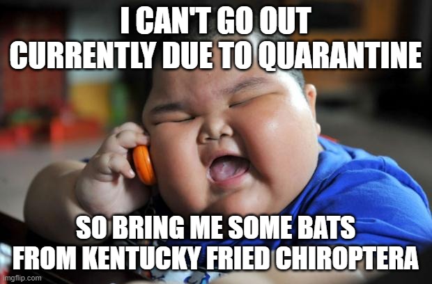 Fat Asian Kid | I CAN'T GO OUT CURRENTLY DUE TO QUARANTINE; SO BRING ME SOME BATS FROM KENTUCKY FRIED CHIROPTERA | image tagged in fat asian kid | made w/ Imgflip meme maker