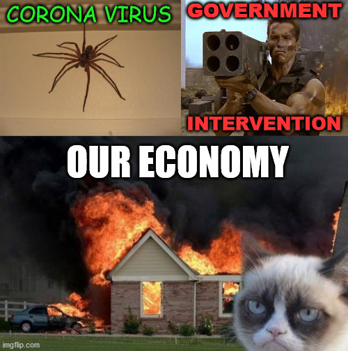 Let's not burn the economy down over a virus. Let people go back to work if they want to. | GOVERNMENT; CORONA VIRUS; INTERVENTION; OUR ECONOMY | image tagged in memes,burn kitty,scumbag spider,arnold schwarzenegger commando | made w/ Imgflip meme maker