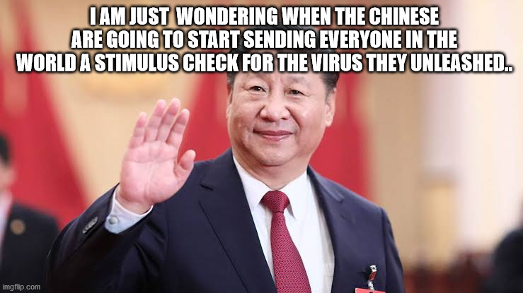Xi Jinping | I AM JUST  WONDERING WHEN THE CHINESE ARE GOING TO START SENDING EVERYONE IN THE WORLD A STIMULUS CHECK FOR THE VIRUS THEY UNLEASHED.. | image tagged in xi jinping | made w/ Imgflip meme maker